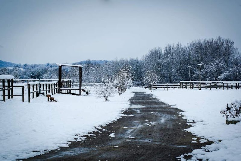 Écuries de Baylenque | Écurie de propriétaires - Pension pour chevaux - photo 2