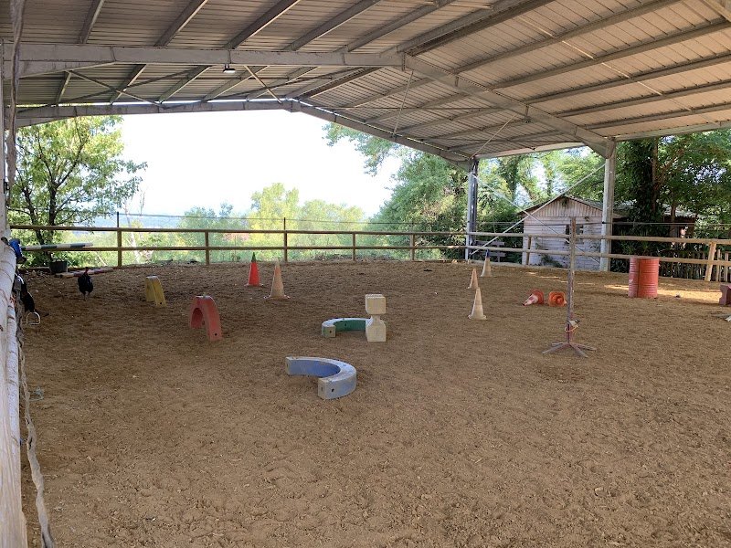 Centre Equestre du Rouret - photo 1