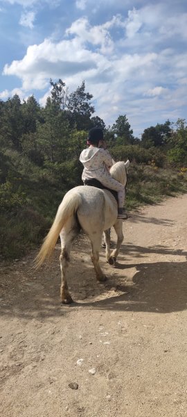 Centre Equestre du Rouret - photo 2