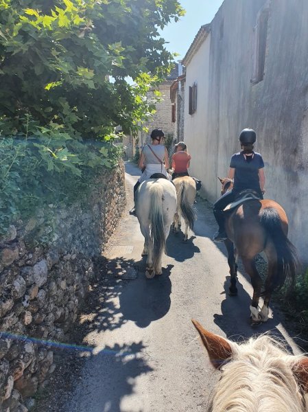 Centre Equestre du Rouret - photo 3