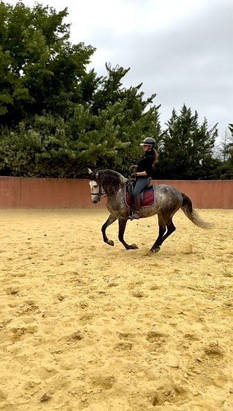 Ecurie du mas de Font Granada