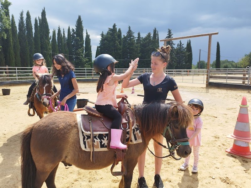 Slacy Ranch - Écuries Pension Chevaux - Loisirs Equestres - photo 1