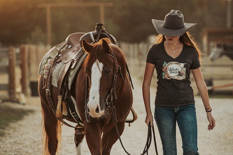 Slacy Ranch - Écuries Pension Chevaux - Loisirs Equestres - photo 2