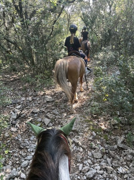 Centre Equestre Le Mazet - photo 2