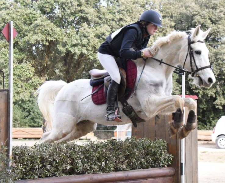 Centre Equestre Le Mas du Roi - photo 1