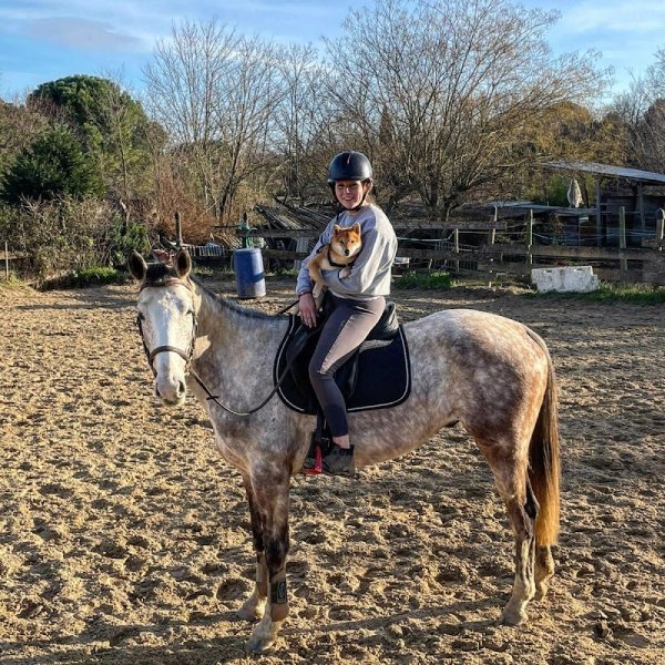Centre Equestre Le Mas du Roi - photo 3