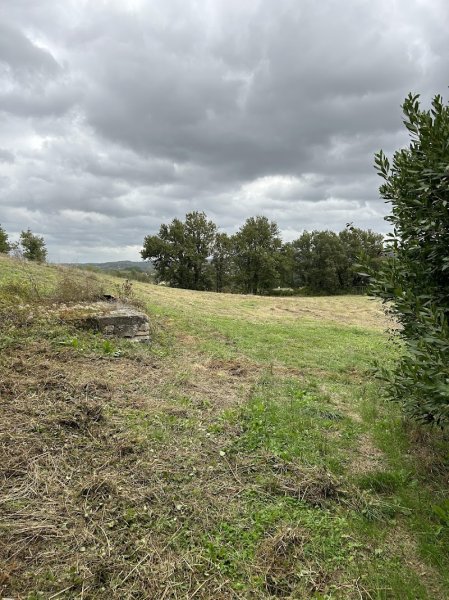 Ecurie d'Olympe - photo 2