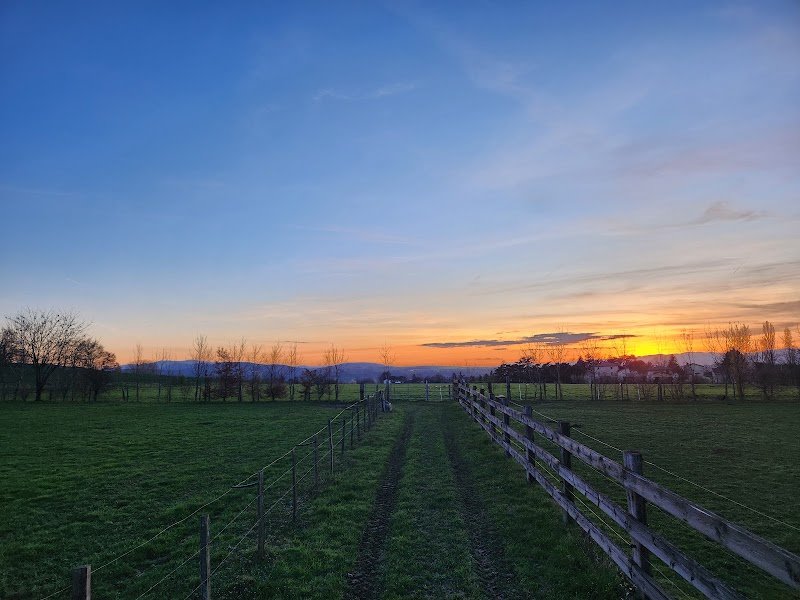 Ecurie Des Hauts De Cornavan - photo 1