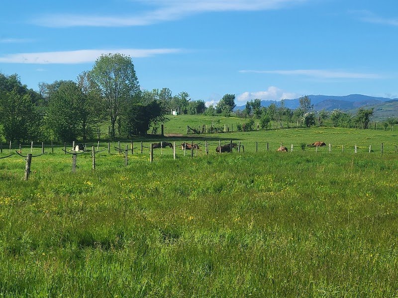 Ecurie Des Hauts De Cornavan - photo 2
