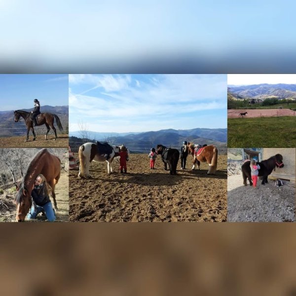 Club Equestre de la Ferm'eden - photo 2