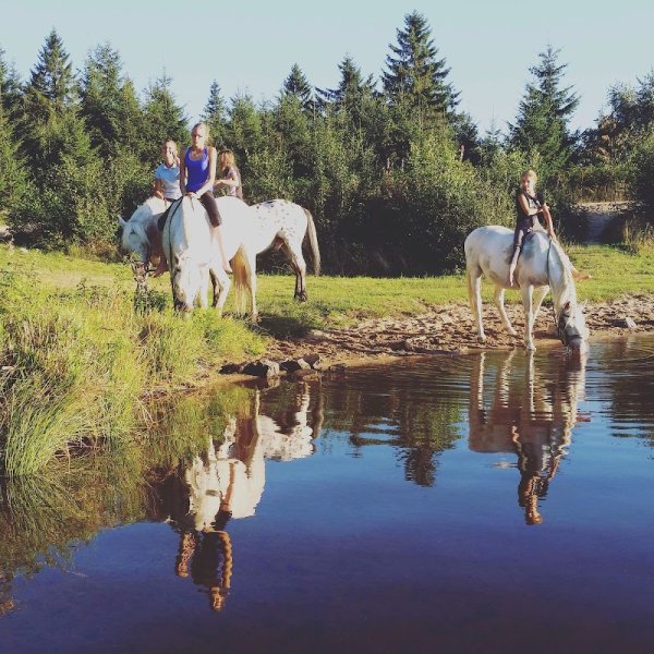 Centre équestre Equitapassion - photo 3