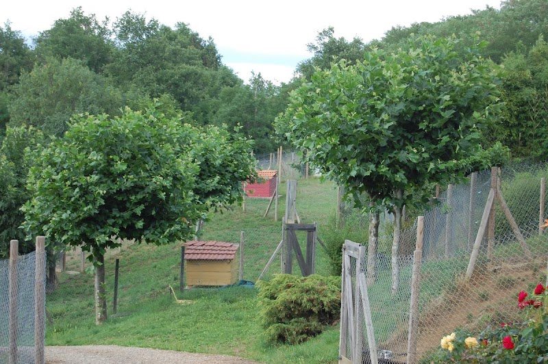 Pension du Moulin Pommier - photo 1