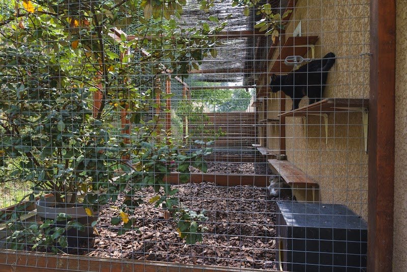 Pension du Moulin Pommier - photo 2