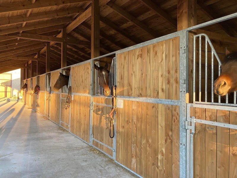 Ecurie Marjorie Flasseur - photo 1