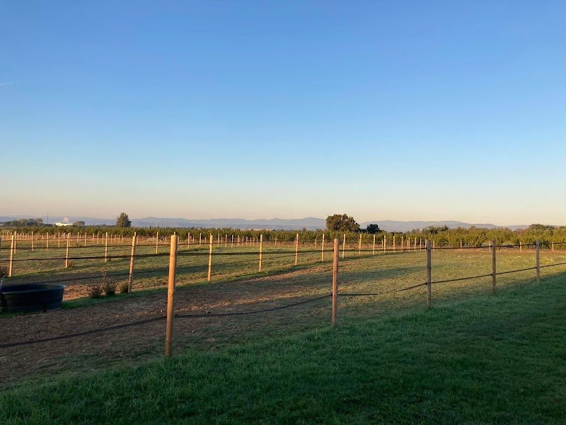 Ecurie Marjorie Flasseur - photo 2