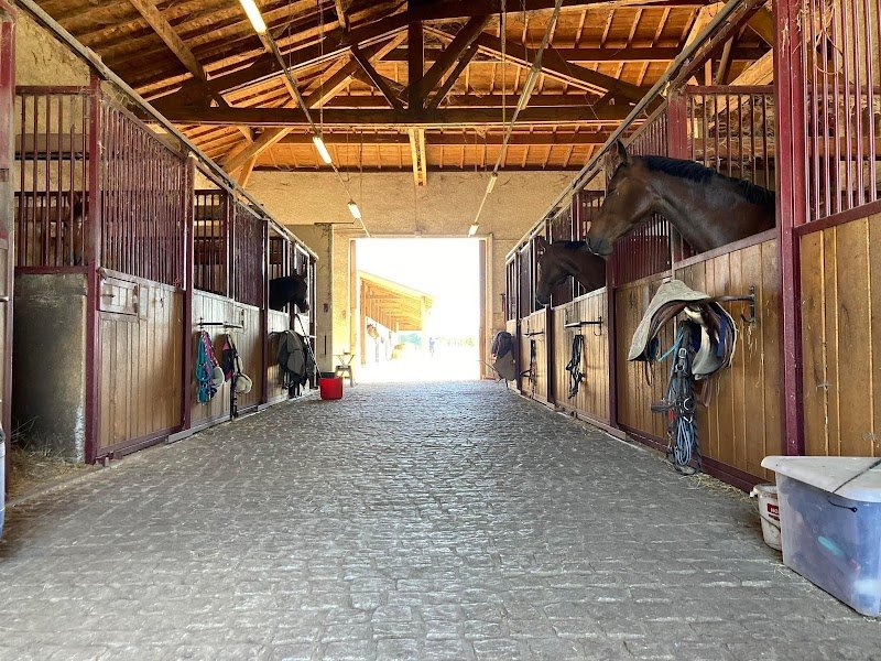 Ecurie Marjorie Flasseur - photo 3