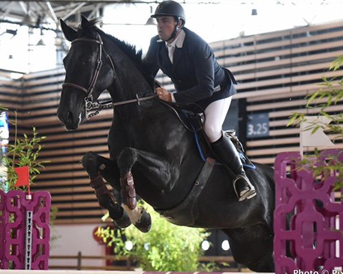 ECURIE DES HAMEAUX - photo 1