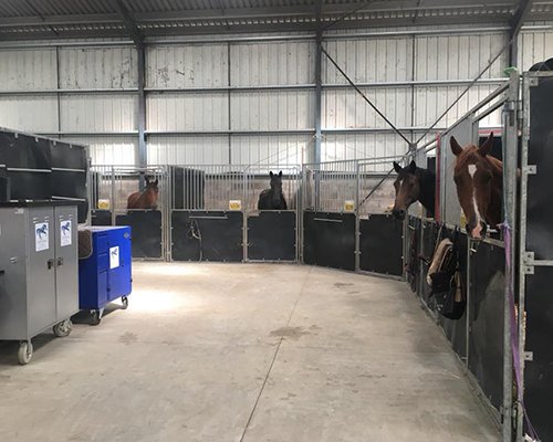 ECURIE DES HAMEAUX - photo 2