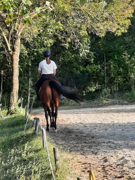 Domaine Equestre du Moulin - photo 1