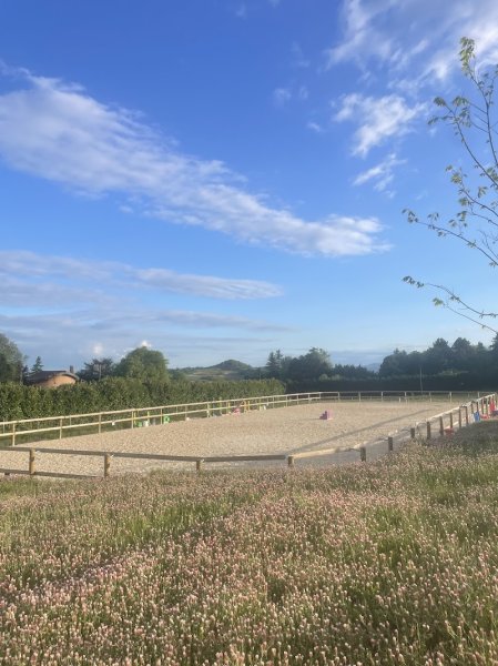 Ecurie de la vallée - photo 2