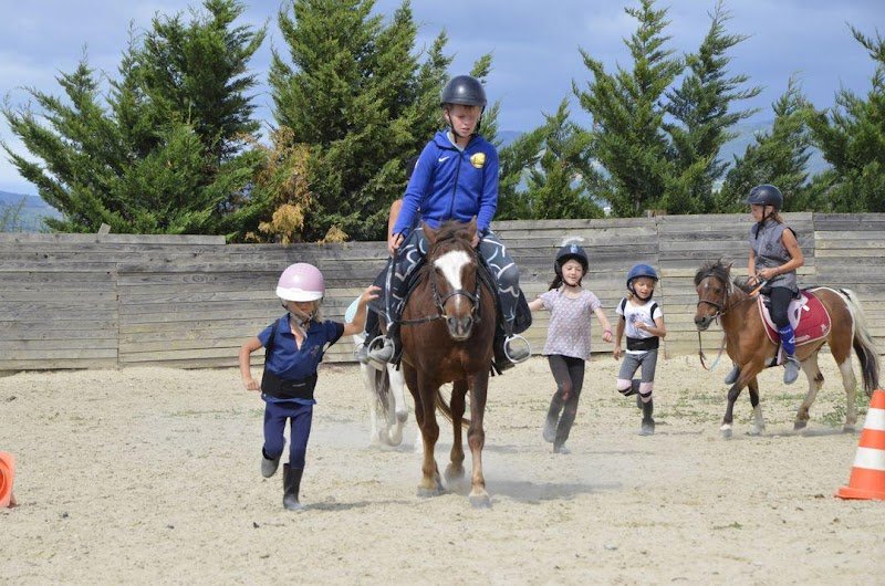Centre Equestre Les Crins Des Plaines - photo 2