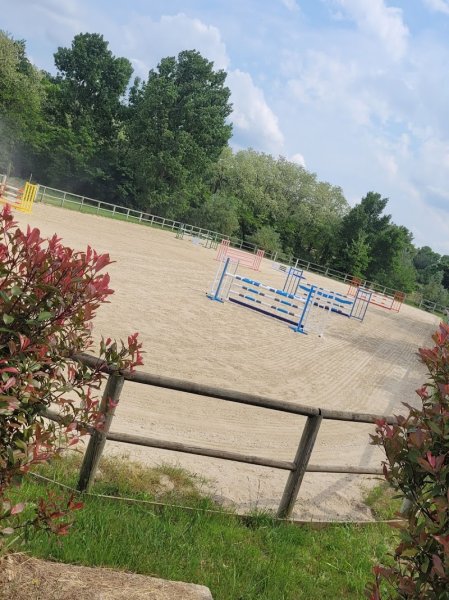 Ecurie de la Tirolandière - photo 1