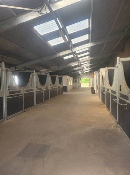 Ecurie de la Tirolandière - photo 3