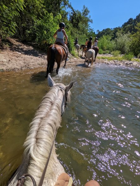 Centre Equestre de Chassournet - photo 2