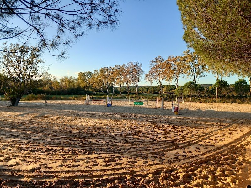 Ecurie Equidestin - photo 2