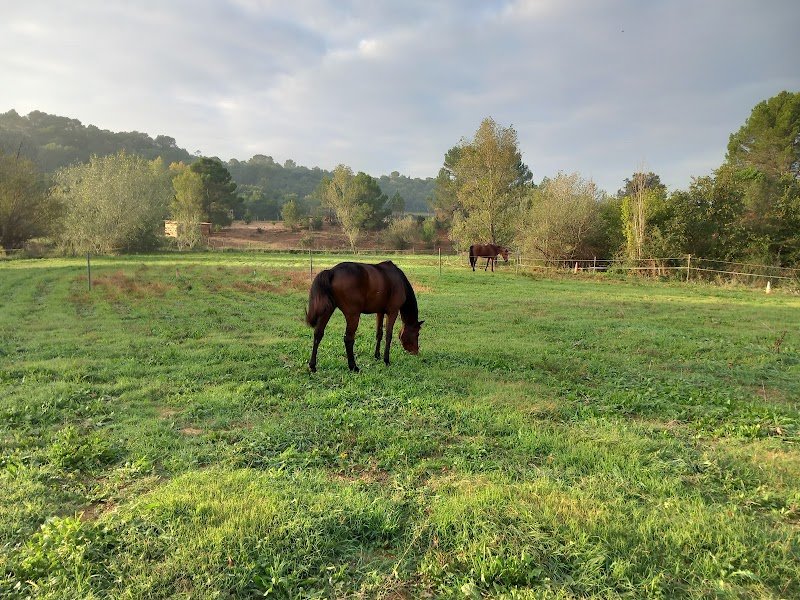 Ecurie Equidestin - photo 3