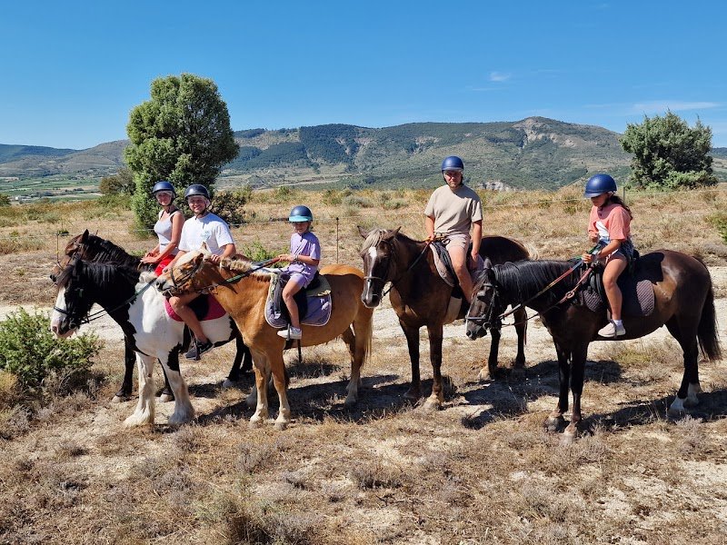 ALBA EQUITATION ECURIES D AUNAS - photo 1