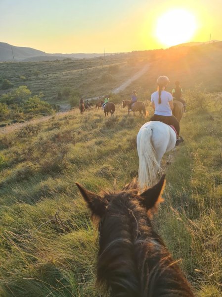 ALBA EQUITATION ECURIES D AUNAS - photo 2