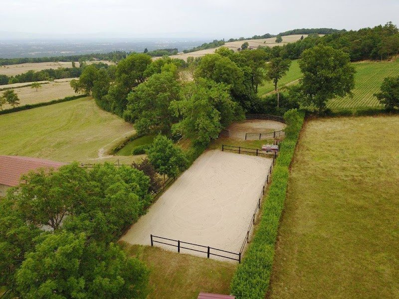 Les Ecuries de Pégase - photo 1