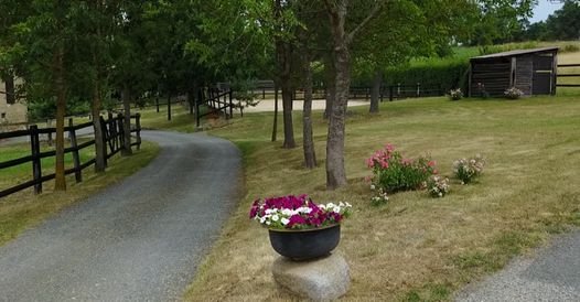 Les Ecuries de Pégase - photo 3