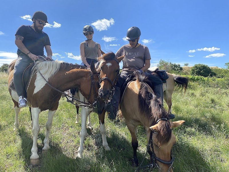 Centre équestre "La cavalerie des côtes" à Vinezac - photo 2