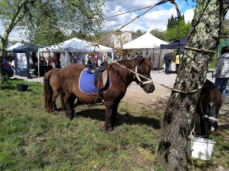Centre équestre "La cavalerie des côtes" à Vinezac - photo 3