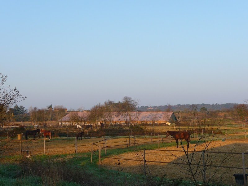 Les Ecuries d'Artuzac