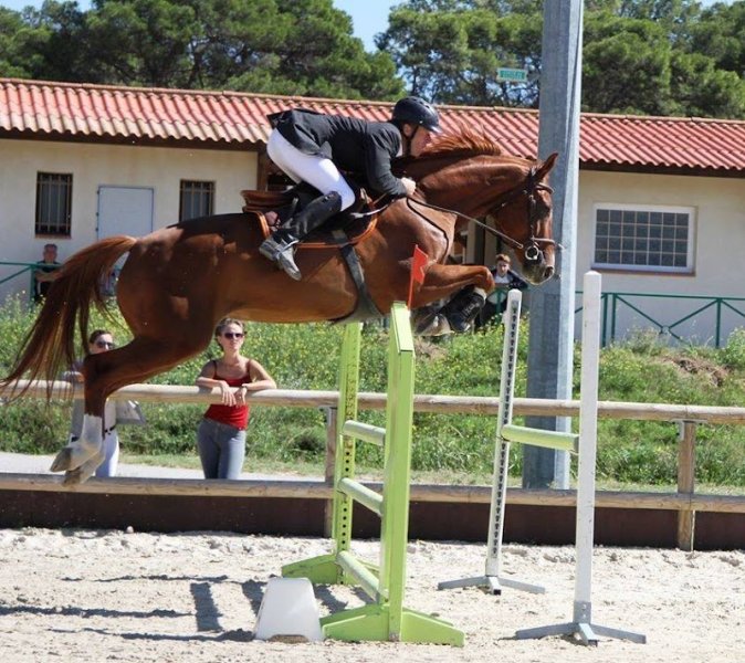 Les Ecuries d'Artuzac - photo 2