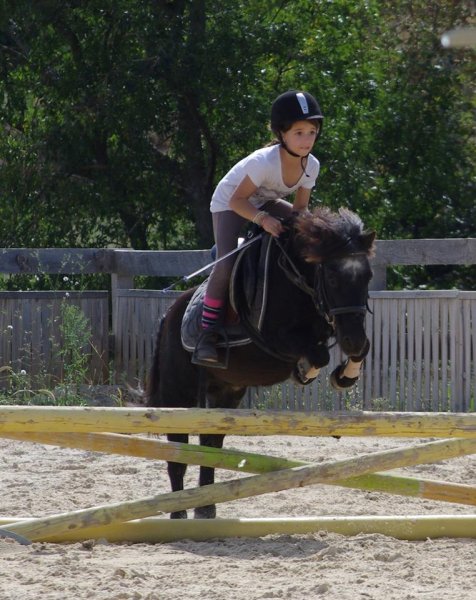 Les Ecuries d'Artuzac - photo 3