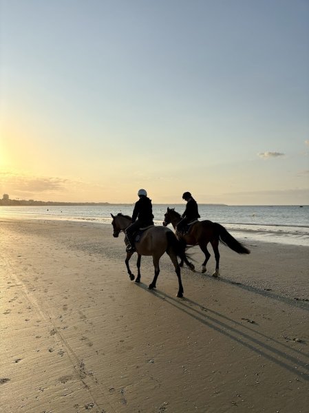 Écurie des Rosières - photo 2