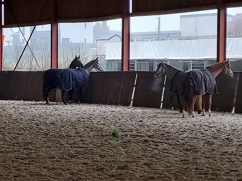 Écurie de la Rosière - photo 3