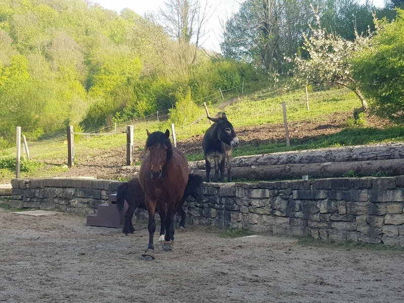 Écurie du Domaine de Rosière - photo 2