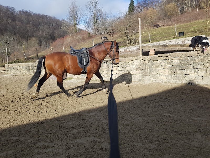 Écurie du Domaine de Rosière - photo 3