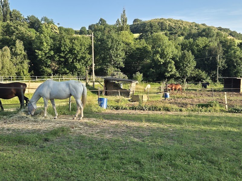 Ecurie Confluence - photo 1