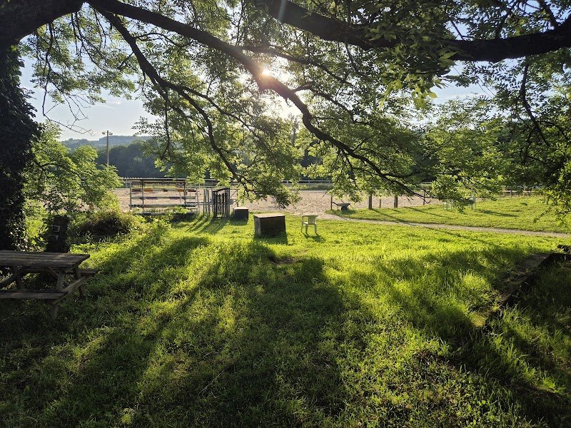 Ecurie Confluence - photo 2