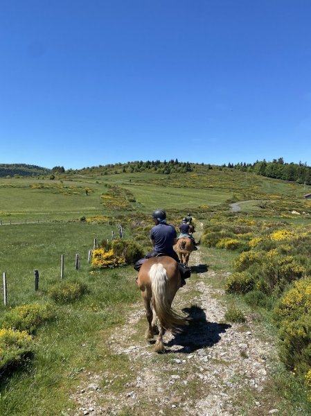 Centre de Tourisme Equestre l'Éperon - photo 1