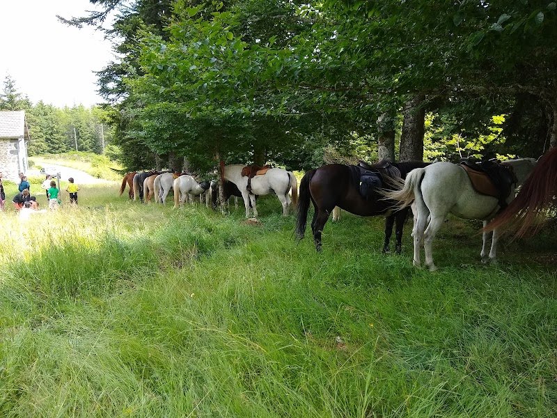 Centre de Tourisme Equestre l'Éperon - photo 2