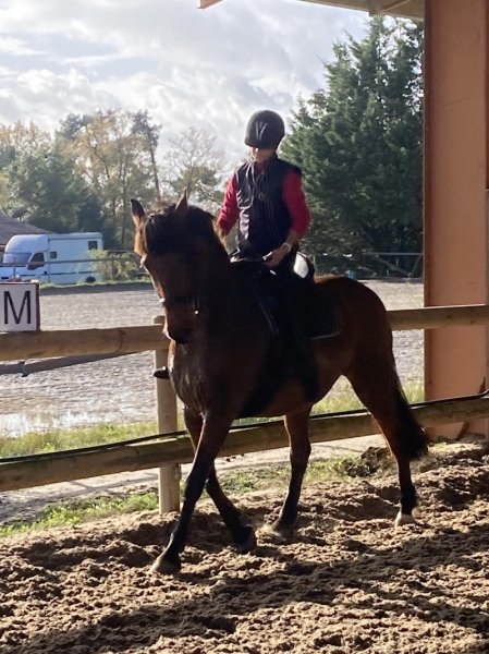 ECURIES FAVEREAU - photo 2