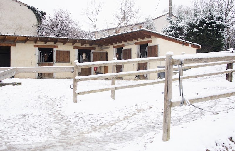 Ecurie AS Equitation - photo 2