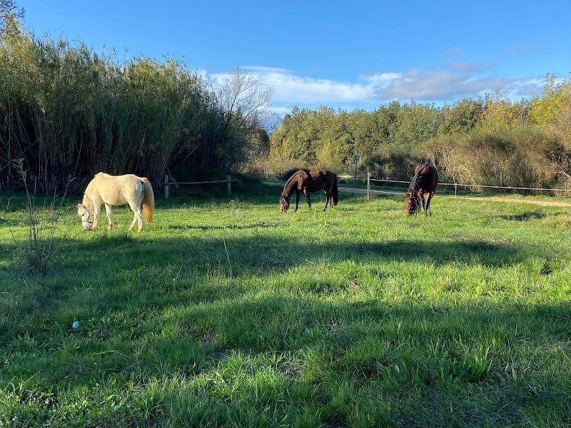 Écurie la prades - photo 1